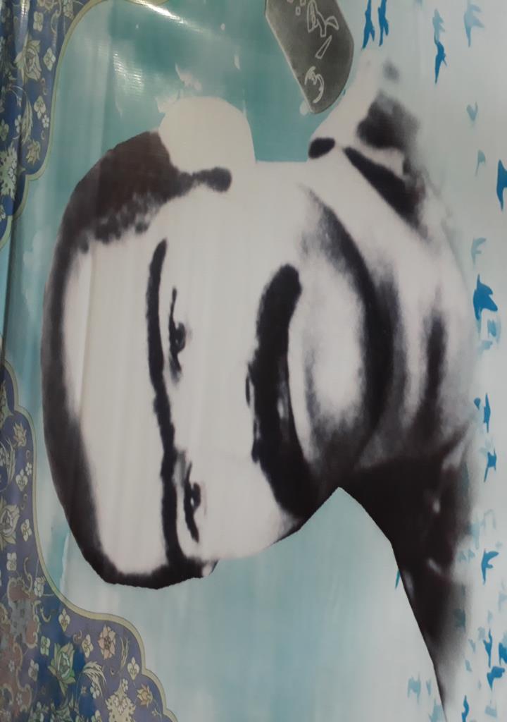 فاقد تصویر